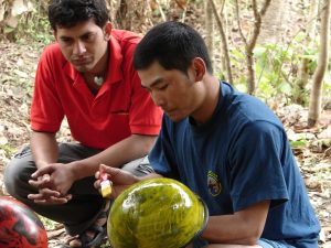 Nim Bahadur Magar paints bright yellow helmets for Team Paddle Nepal before Nepal’s first National Rafting Championship in 2008, reflecting early team identity and vision for Paddle Nepal.